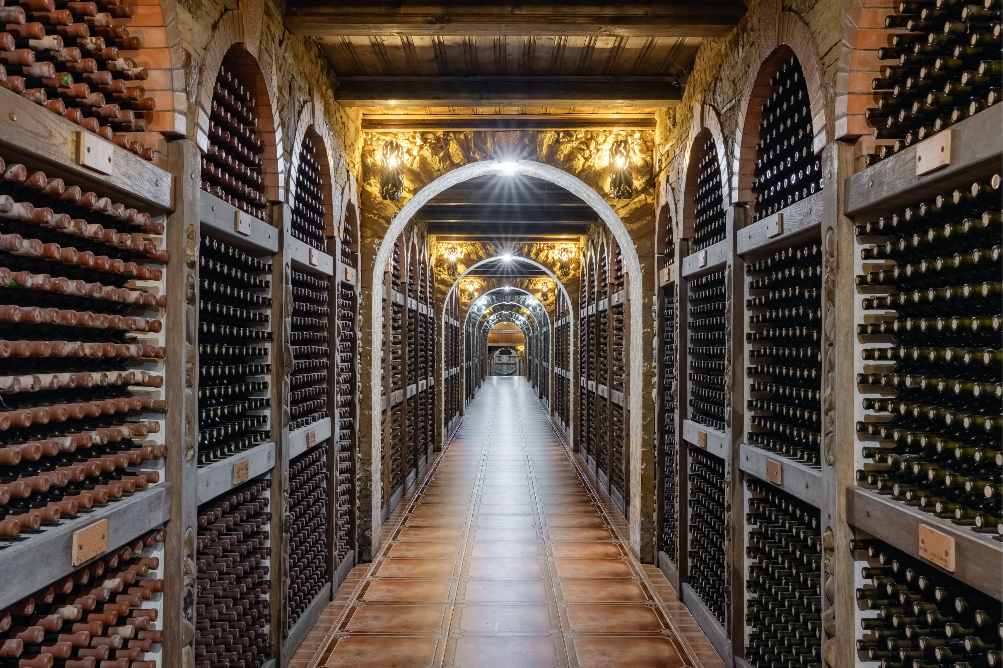 Private wine cellar experience in Italy